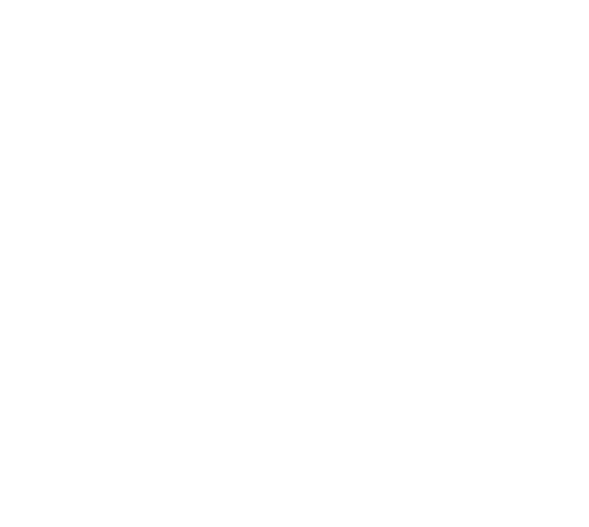 Icône 1